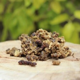 Перга, прополис, пчелиный яд, маточное молочко от бесплодия