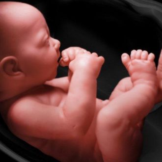 Каким должен быть рост и вес плода по неделям беременности?