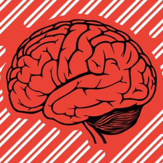 Тест на эрудицию. Узнай, высокообразованный ты человек или нет?