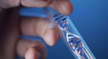 Где можно сделать ДНК тест на установление отцовства?