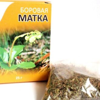 Боровая матка для зачатия: отзывы, как принимать для мужчин и женщин, настойка, отвар, спринцевание, противопоказания