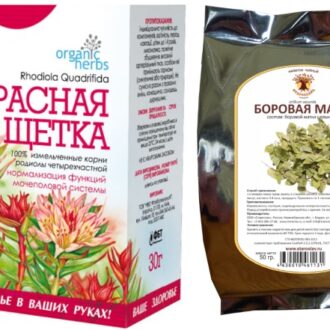 Боровая матка и красная щетка: как принимать для зачатия, при бесплодии, миоме, эндометриозе, климаксе, поликистозе яичников, лечебные свойства, отзывы врачей
