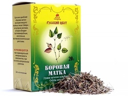 Боровая матка при бесплодии: свойства, как пить, побочные действия