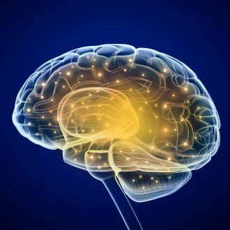 BRAINSTORM от EWA PRODUCT: что известно о якобы инновационном продукте для мозга?