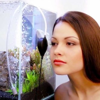 Какие существуют фильтры для аквариумов