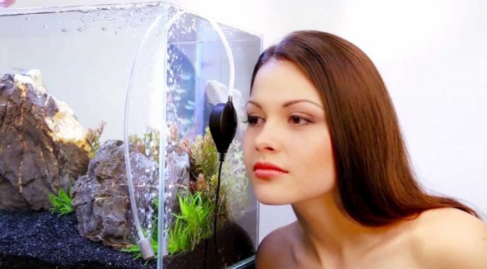 Какие существуют фильтры для аквариумов