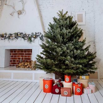 Пихта: совершенное растение для новогоднего настроения