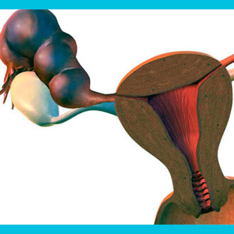 Действительно ли можно забеременеть при гидросальпинксе