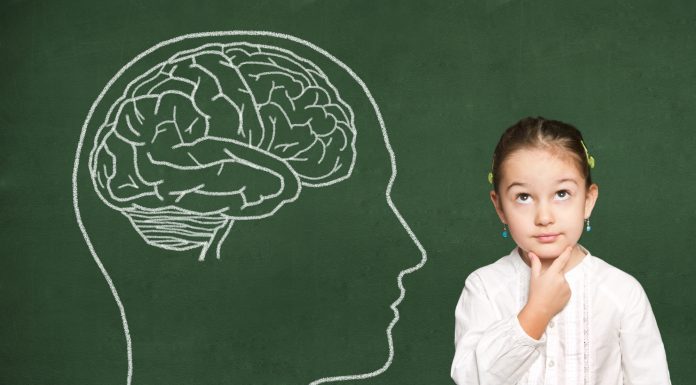 Детская нейропсихология: какие проблемы изучает и решает наука