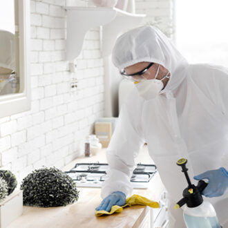 Дезинсекция от пауков: методы, особенности, эффективность