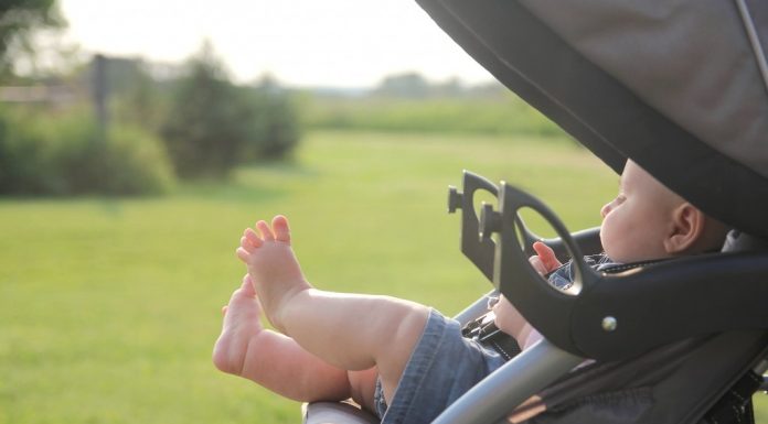 Готовимся к появлению и росту малыша: как выбрать коляску и стульчик для кормления