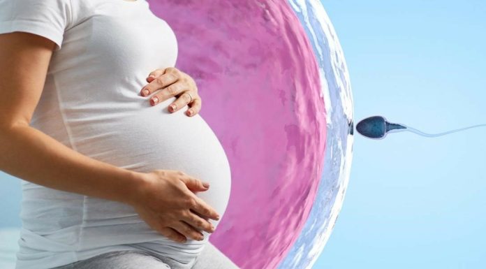 ЭКО в естественном цикле в Москве от компании «Я здорова»