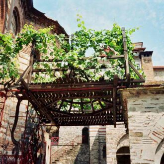 Виноградная Лоза Симеона Мироточивого, Афон, Хиландар