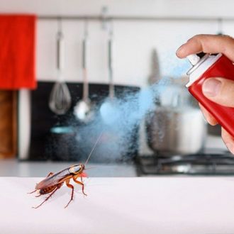 Как навсегда избавиться от тараканов ?