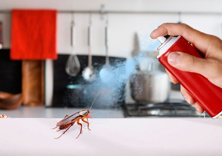 Как навсегда избавиться от тараканов ?