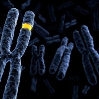 Все о кариотипировании супругов: что это за анализ, цены, подготовка, что показывает