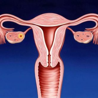 Расположение и функции цервикального канала у женщин