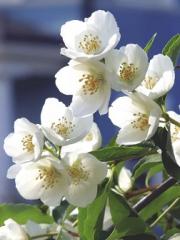 ЭКО истории из жизни: Семь уроков бесплодия