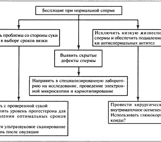 ГЛАВА 8 Бесплодие самцов / Руководство по репродукции и неонатологии собак и кошек