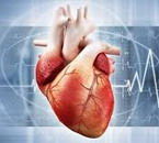 БЕСПЛОДИЕ — ВИДЫ БЕСПЛОДИЯ