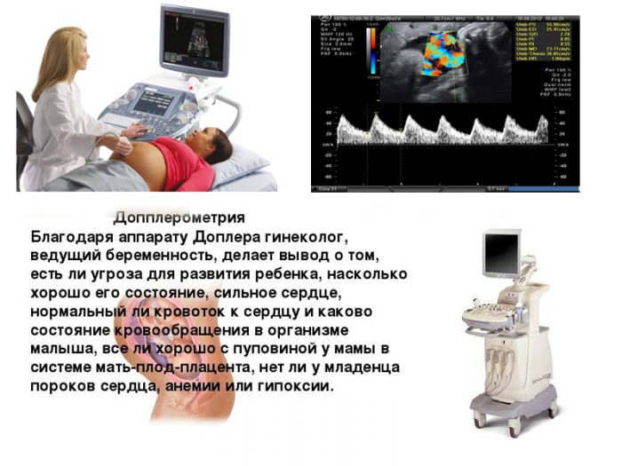 Иллюстрация 2