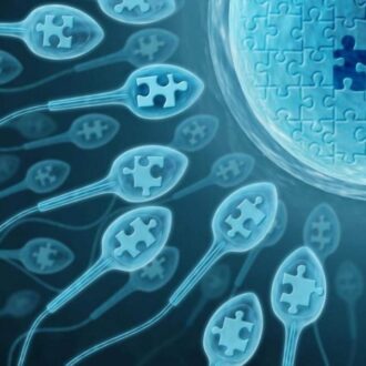 Иммунологическое бесплодие у мужчин и женщин: причины и методы лечения