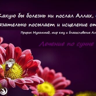 Лечение бесплодия по сунне пророка мухаммада — Бесплодие