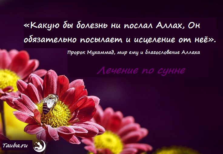 Лечение бесплодия по сунне пророка мухаммада — Бесплодие