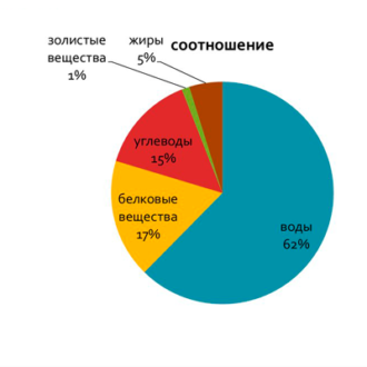 Лечение женского и мужского бесплодия маточным молочком