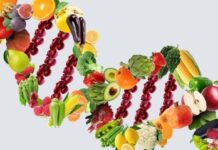 Как ДНК-тесты помогают улучшить питание, спорт и образ жизни