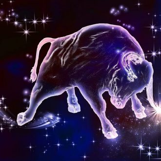 Характеристика и совместимость мужчины-Тельца с другими знаками зодиака