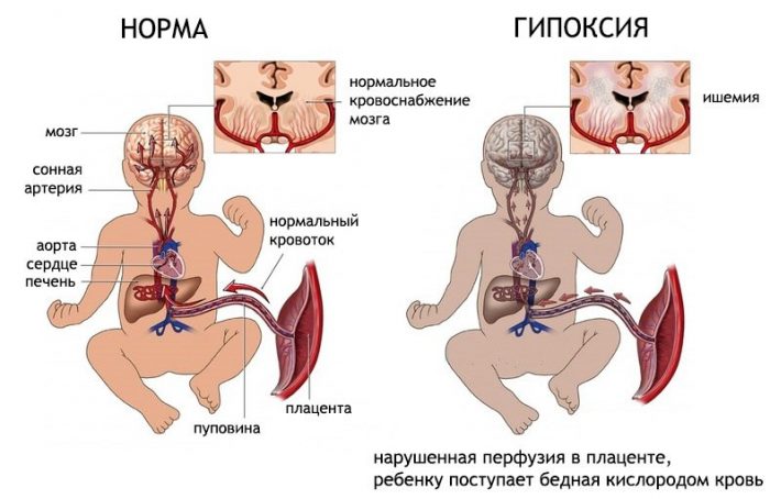 Иллюстрация 1