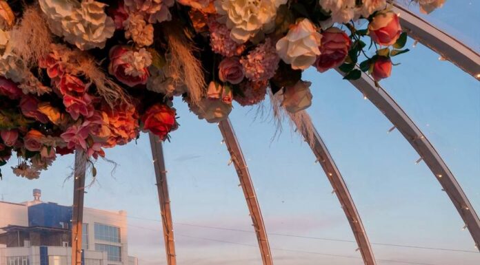 Развлечения на день рождения: камерные игры, массовые затеи и творческие решения для незабываемого праздника