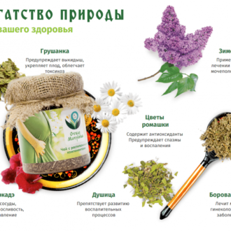 ОТВАР МАТРЕНЫ — Где купить без обмана, Официальный сайт