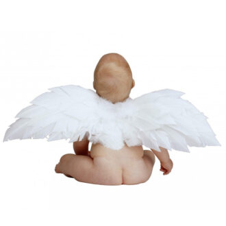 Помощь при бесплодии: зачать здорового ребенка |Фадеев Михаил Борисович, этнотравник