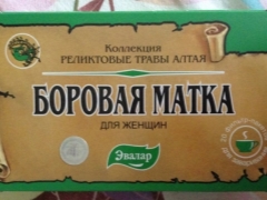 Боровая матка для зачатия: как принимать и в каком виде, совместное применение с красной щеткой и шалфеем, отзывы