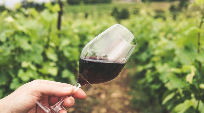 Красное вино – яд или реальная польза