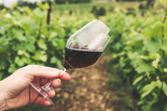 Красное вино – яд или реальная польза
