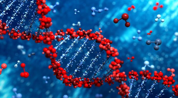 Качественные ДНК-тесты – где сделать точный тест ДНК?