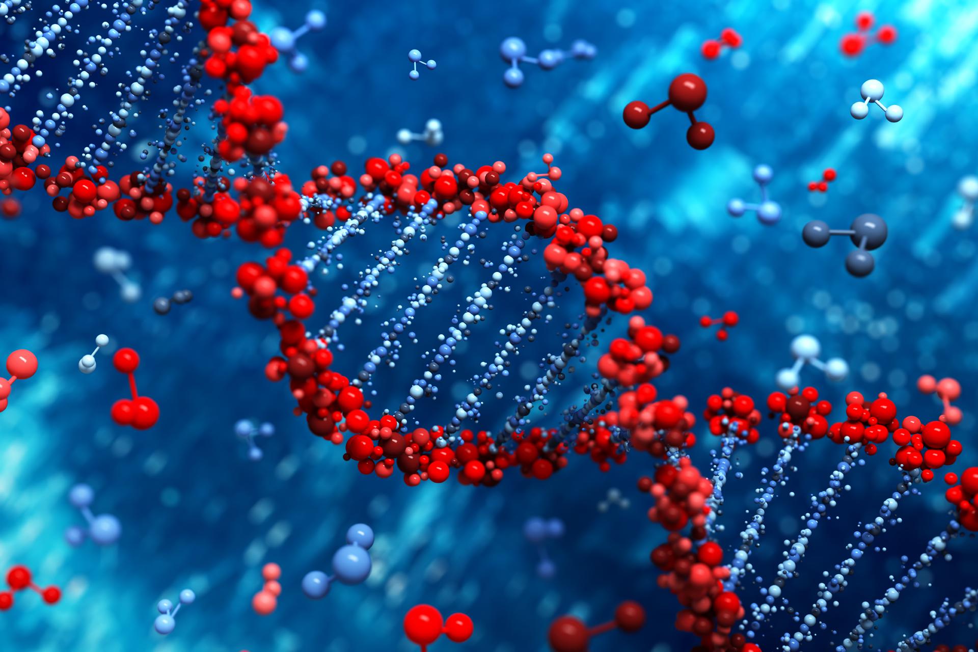 Качественные ДНК-тесты – где сделать точный тест ДНК?