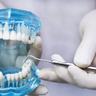 Виды стоматологических услуг Виды стоматологических услуг