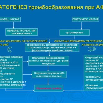 Антифосфолипидный синдром и беременность, подготовка, лечение
