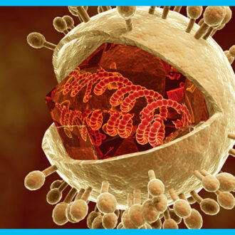 Цитомегаловирус при планировании беременности