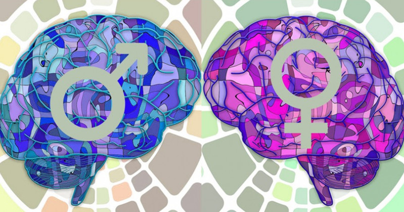 Тест: Вы мыслите как мужчина или как женщина?