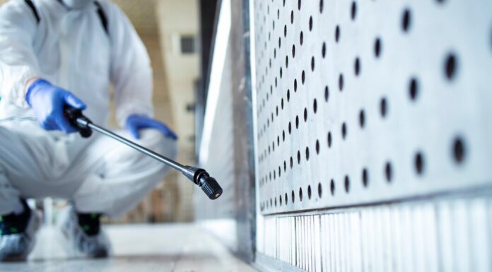 Дезинфекция от клопов: быстро и эффективно