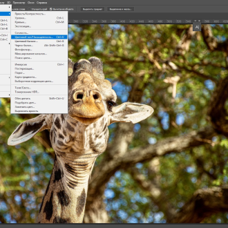 Как в Фотошопе изменить цвет объекта: замена оттенка фотографии в программе Photoshop