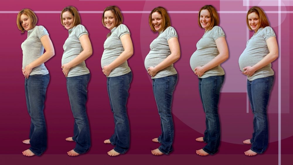 Как можно рассчитать срок предполагаемых родов при беременности?